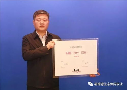 游奇台金古城，品华夏第一面 供应链管理赋能文旅餐饮新体验